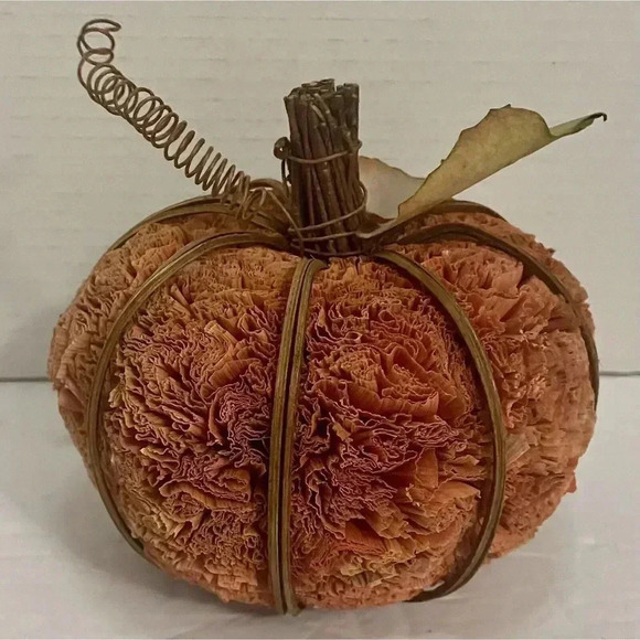 Fall Pumpkin Natural Materials Halloween Harvest Decor Orange 5” x 5” - Picture 1 of 5